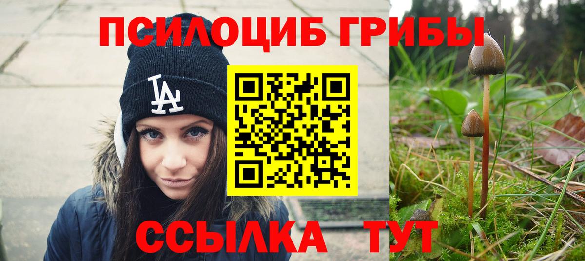 Баксан  Псилоцибиновые грибы мухоморы  Вход с VPN 